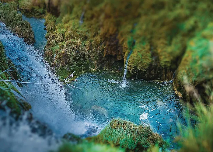 펜션 Cozy In With Sauna *